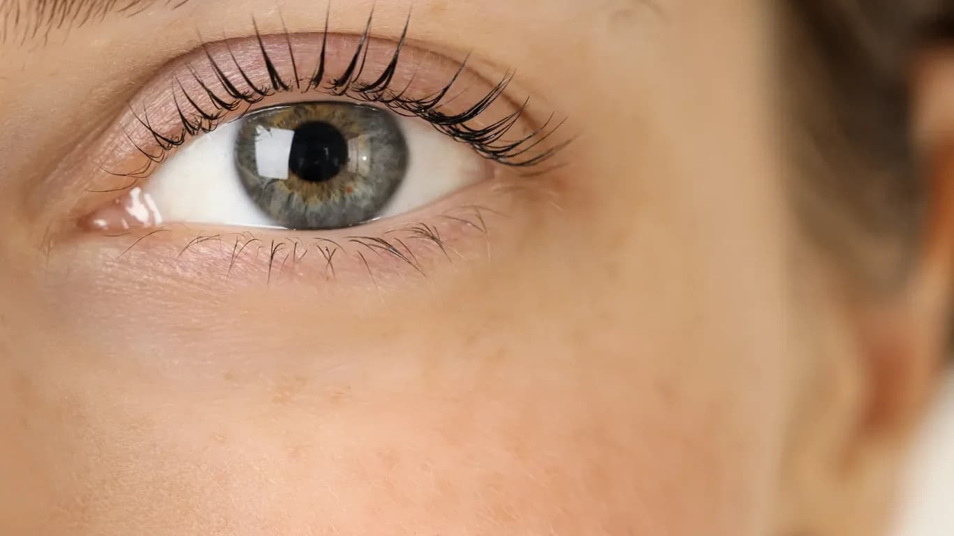 Ламиниране на мигли — невидимата рутина за перфектен поглед